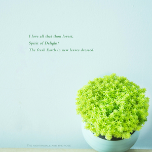 班花趴下让我桶她屁股眼
