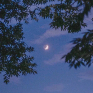 班花趴下让我桶她屁股眼
